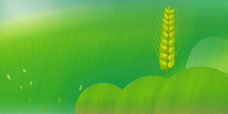 芒种绿色简约小麦24节气小满展板背景24节气小满背景